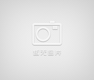 （國標）偏心半球閥